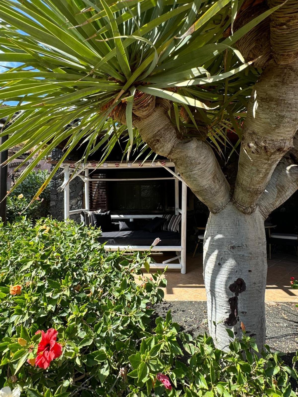 Castillo Lanzarote Villa Bailey - Luxury Villa - Pet Friendly With Heated Pool La Asomada  Bagian luar foto