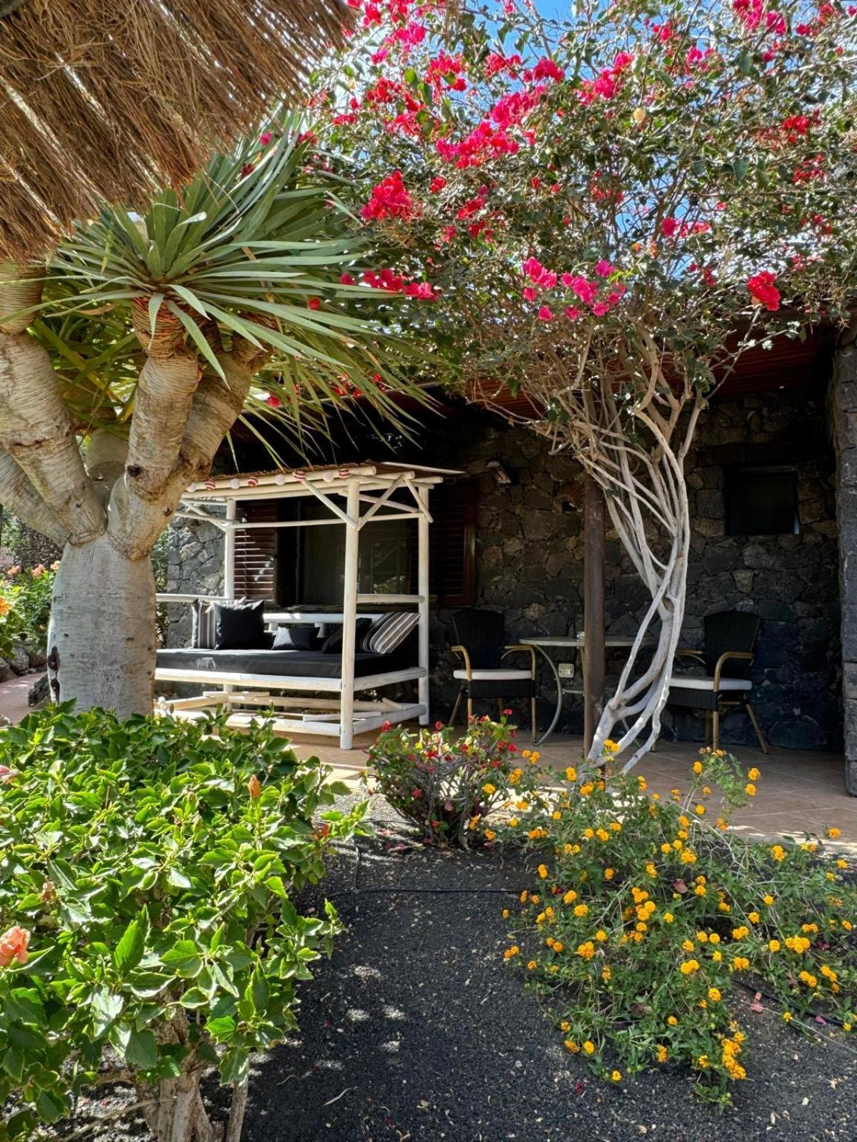 Castillo Lanzarote Villa Bailey - Luxury Villa - Pet Friendly With Heated Pool La Asomada  Bagian luar foto